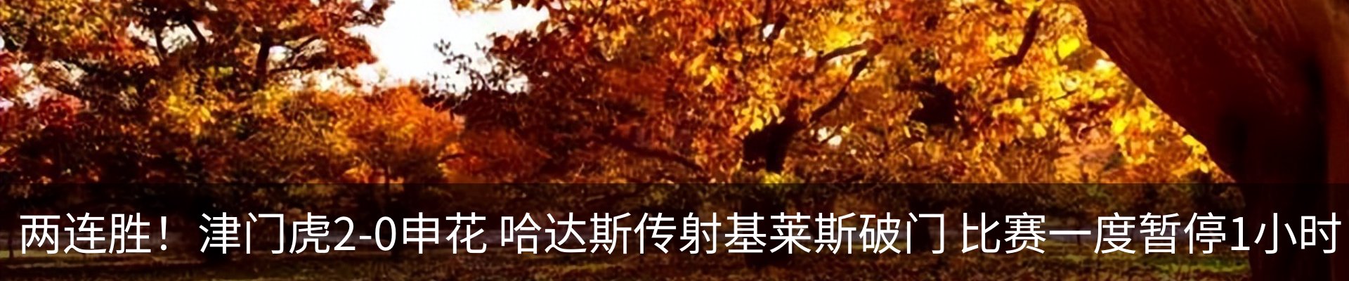 内页banner